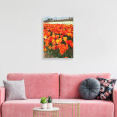 Toile Tulipes oranges dans le champ, Woodburn, OU (Insitu(Salon))