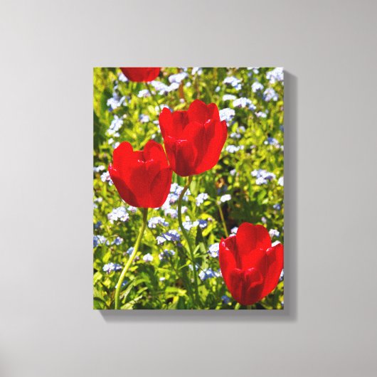 Toile Tulipes rouges dans le champ (Recto)