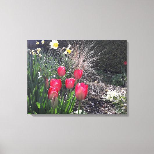 Toile Tulipes rouges dans le jardin (Recto)