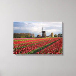 Toile Tulipes rouges et un moulin à vent