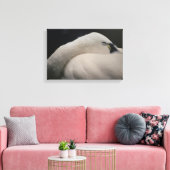 Toile Tundra Swan sleeping Stretched Canvas Print (Insitu(Salon))