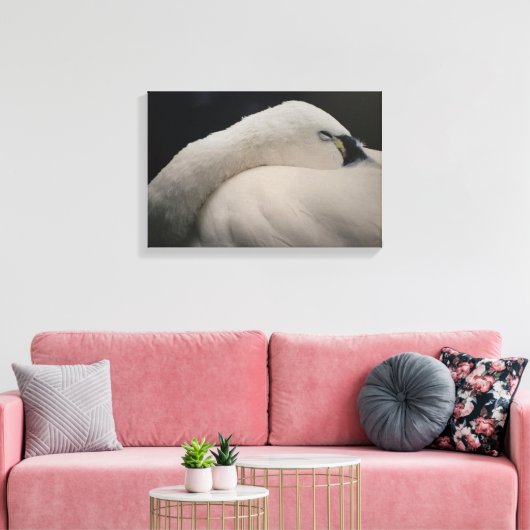 Toile Tundra Swan sleeping Stretched Canvas Print (Insitu(Salon))