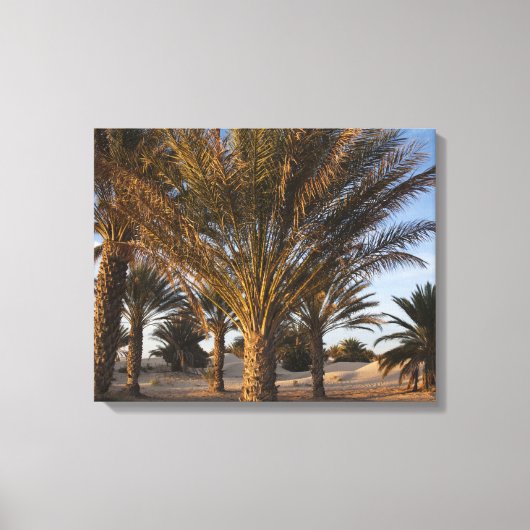 Toile Tunisie, désert du Sahara, Douz, Grande Dune, palm (Recto)