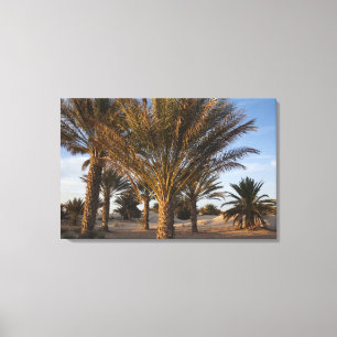 Toile Tunisie, désert du Sahara, Douz, Grande Dune, palm