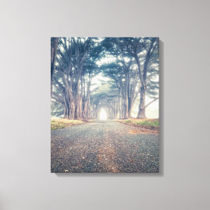 Toile Tunnel Cypress