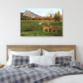 Toile Tuolumne Meadow, yosemite (Insitu(Chambre))