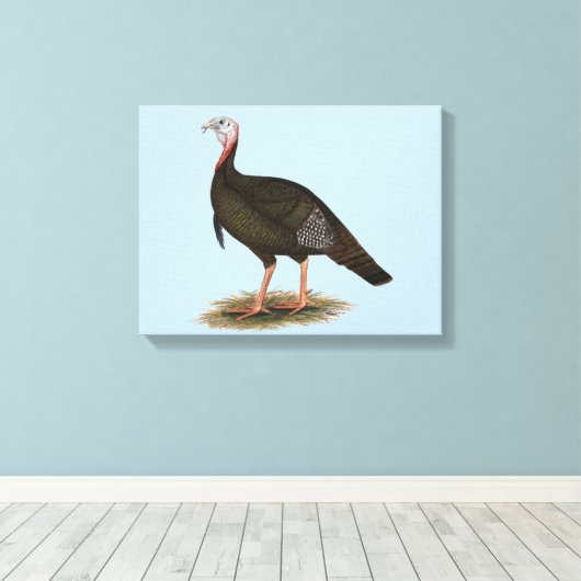 Toile Turquie : Tom sauvage de l'Est (Insitu (Plancher de Bois))