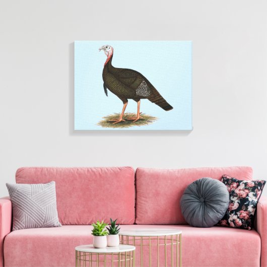 Toile Turquie : Tom sauvage de l'Est (Insitu(Salon))