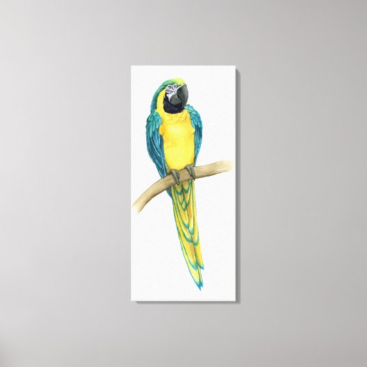 Toile Turquoise Macaw (Recto)