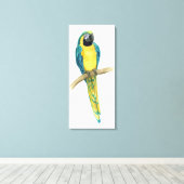 Toile Turquoise Macaw (Insitu (Plancher de Bois))