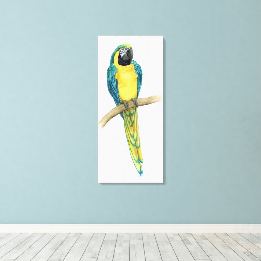 Toile Turquoise Macaw (Insitu (Plancher de Bois))