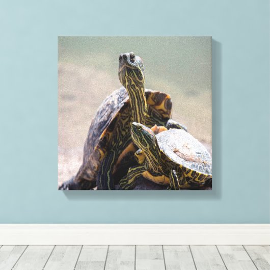 Toile Turtle Love (Insitu (Plancher de Bois))