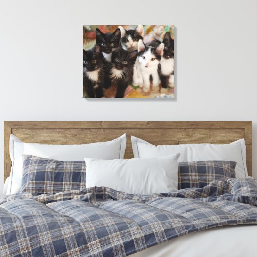 Toile Tuxedo (Insitu(Chambre))