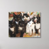 Toile Tuxedo (Recto)