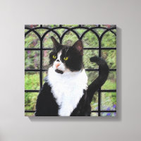 Tuxedo Chat dans la peinture de fenêtre Art animal