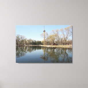 Toile tv tower lake