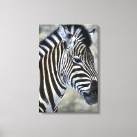 Type de Zebras Lovers