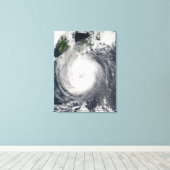 Toile Typhon Chaba (Insitu (Plancher de Bois))