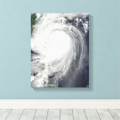 Toile Typhon Jangmi (Insitu (Plancher de Bois))