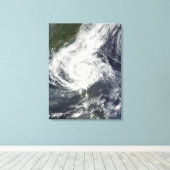 Toile Typhon Parme (Insitu (Plancher de Bois))