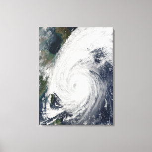 Toile Typhoon Tokage au sud du Japon