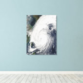 Toile Typhoon Tokage au sud du Japon (Insitu (Plancher de Bois))