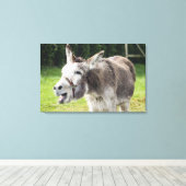 Toile Un âne (Insitu (Plancher de Bois))