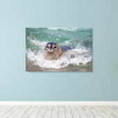 Toile Un bébé phoque surfant (Insitu (Plancher de Bois))