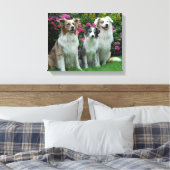 Toile un Border Collie, blue-merle, et deux Australia (Insitu(Chambre))