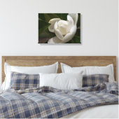 Toile Un bourgeon blanc de fleur de magnolia du sud (Insitu(Chambre))