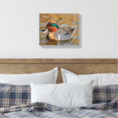 Toile Un canard Turquoise à ailes vertes chatté à l'étan (Insitu(Chambre))