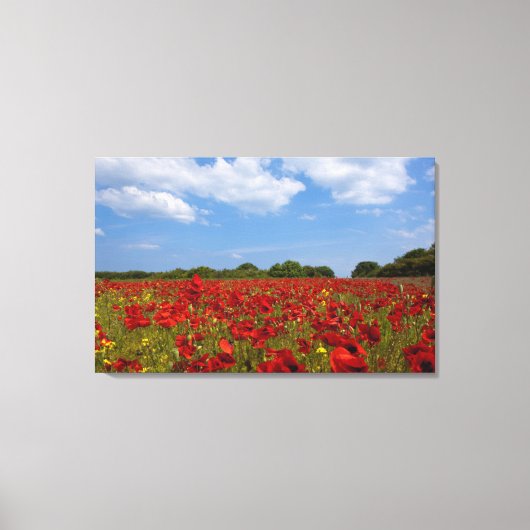 Toile Un Champ De Fleurs Rouges (Recto)