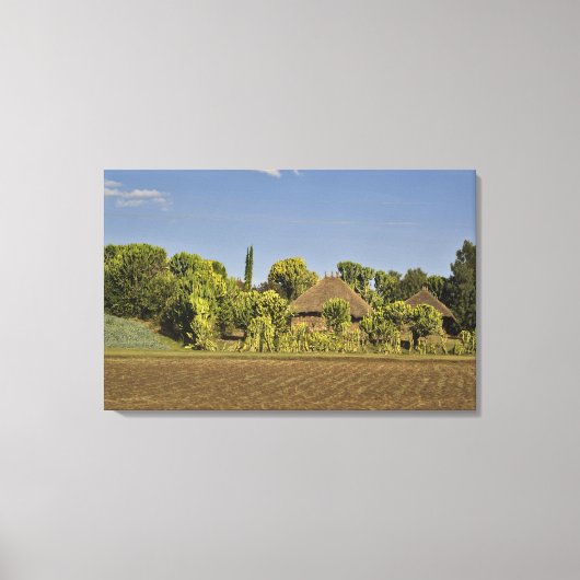 Toile Un champ d'élevage devant des maisons aux toits de (Recto)