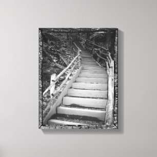Toile Un chemin sombre