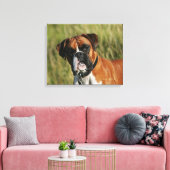 Toile Un chien de boxe qui regarde à la caméra (Insitu(Salon))