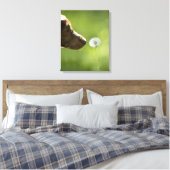 Toile Un chien et un pissenlit. (Insitu(Chambre))