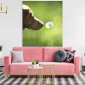 Toile Un chien et un pissenlit. (Insitu(Salon))