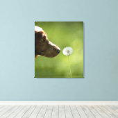 Toile Un chien et un pissenlit. (Insitu (Plancher de Bois))
