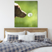 Toile Un chien et un pissenlit. (Insitu(Chambre))
