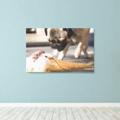 Toile Un chien mange une glace sur un trottoir (Insitu (Plancher de Bois))