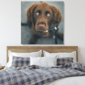 Toile Un chien marron. (Insitu(Chambre))