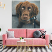 Toile Un chien marron. (Insitu(Salon))