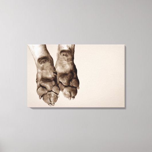 Toile Un chien pattes (Recto)