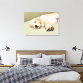 Toile Un Chiot Couché Sur Le Canapé (Insitu(Chambre))