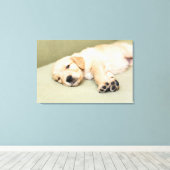 Toile Un Chiot Couché Sur Le Canapé (Insitu (Plancher de Bois))