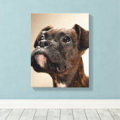 Toile Un chiot de Brindle Boxer qui regarde curieusement (Insitu (Plancher de Bois))