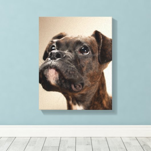 Toile Un chiot de Brindle Boxer qui regarde curieusement (Insitu (Plancher de Bois))