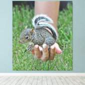 Toile Un écureuil de bébé dans la main d’une femme (Insitu (Plancher de Bois))