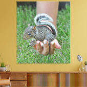 Toile Un écureuil de bébé dans la main d’une femme (Insitu(Salon))