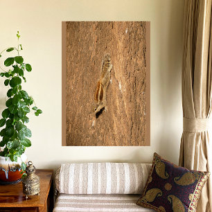 Toile Un écureuil de palme indien sur un tronc d'arbre